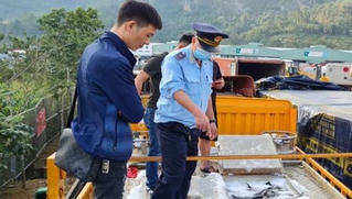 Sau bài “người nuôi cá tầm điêu đứng”: Động thái tích cực của Viện Nghiên cứu hải sản
