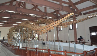 Kỳ công phục dựng mẫu vật tại di tích Lăng Tân