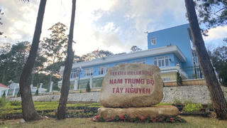 Viện Khoa học lâm nghiệp Nam Trung Bộ và Tây Nguyên: Thiếu trách nhiệm để mất 2.000ha rừng và đất rừng