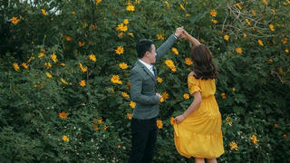 [Truyện ngắn] Rừng lặng gió