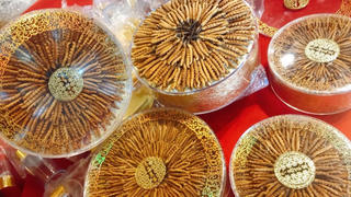 Bi hài tẩm bổ hậu COVID-19