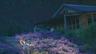 [Truyện ngắn] Lũng Mây