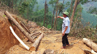 Nghi án lợi dụng tỉa thưa để chặt hạ rừng phòng hộ: UBND xã nhận trách nhiệm “phổ biến chưa kỹ”