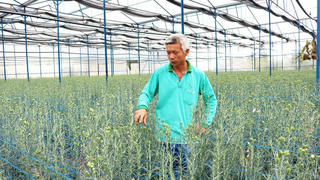 Hiệu quả từ phong trào cựu binh giúp nhau thoát nghèo