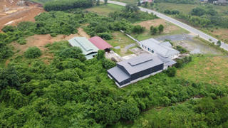 Hàng loạt dự án “bảo tồn gen và lai tạo” bò Mông tại Bắc Kạn: Có mục đích thực sự nào ẩn khuất phía sau?