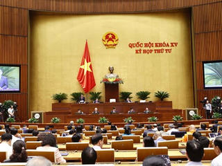 Đại biểu Quốc hội: Cần làm rõ xăng dầu 'thiếu thật' hay 'thiếu giả'