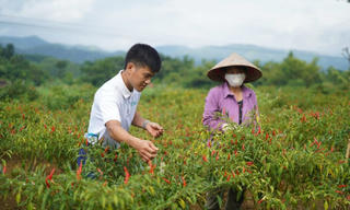 Thương mại điện tử chắp cánh cho đặc sản vùng miền bay xa