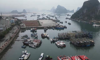 Dấu hiệu tàu hết hạn đăng kiểm vẫn hoạt động tại Quảng Ninh: Cục Đăng kiểm có công văn đề nghị kiểm tra