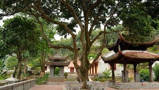 Vẻ độc đáo của ngôi chùa chốn rừng sâu, núi cao ở Hải Dương