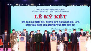 Hải Dương phát triển nông nghiệp gắn với du lịch trải nghiệm 
