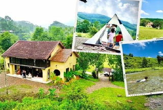 Ngôi nhà nhỏ ở Phú Thọ nằm giữa cánh đồng bao la, gây thích thú với thiết kế theo phong cách xưa