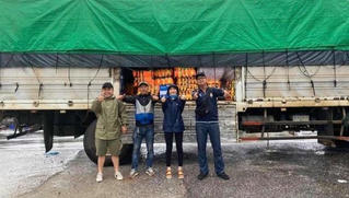 Tin 'hot' giải trí sáng 20/10: Tiểu Vy tung bộ ảnh tình cảm với mẹ, Hòa Minzy đến vùng lũ cùng xe tải áo phao