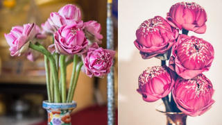 Những loại hoa nên bày trên bàn thờ để thu hút tài lộc