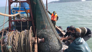 Lực lượng Biên phòng Hà Tĩnh phát hiện nhiều tàu giã cào khai thác hải sản trái phép
