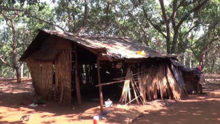 Hàng xóm cho ăn bưởi, một bé gái tử vong 