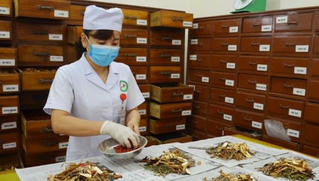 Tăng cường phòng, chống dịch Covid-19 bằng y học cổ truyền
