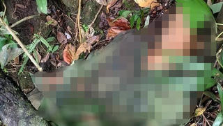 Săn khỉ, nam thanh niên trúng 13 mảnh đạn, tử vong