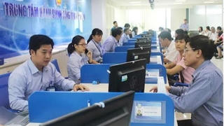 Từ 1/8, bãi bỏ chứng chỉ tin học, ngoại ngữ cho công chức hành chính