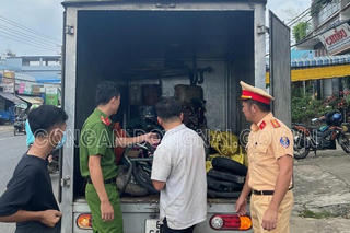 Bắt giữ xe tải chở hơn 400 bình ắc quy cũ, nguy hại cho môi trường