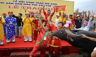 Thưởng 70 triệu đồng cho 'ông trâu' vô địch chọi trâu Đồ Sơn 2018