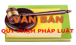 Từ 1/1/2019, Thái Bình bãi bỏ 56 văn bản quy phạm pháp luật do UBND tỉnh ban hành