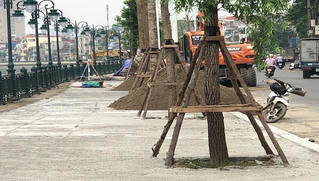 Hải Phòng: Khắc phục cơ bản sự cố sụt lún tại vỉa hè đường Tam Bạc
