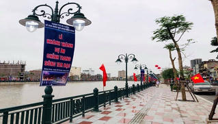 Hải Phòng: 40 con thiên nga “tô điểm” cho dự án nghìn tỷ