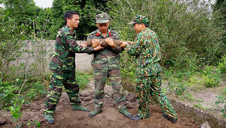Tá hỏa phát hiện quả đạn pháo trong vườn nhà 