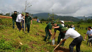 Quảng Ninh: Tổ chức lễ dâng hương và trồng hơn 5.000 cây xanh tri ân các anh hùng liệt sỹ tại Đài tưởng niệm liệt sỹ Pò Hèn