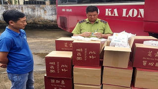  Bắt giữ hơn 3.800 chiếc bánh ngọt nhập lậu