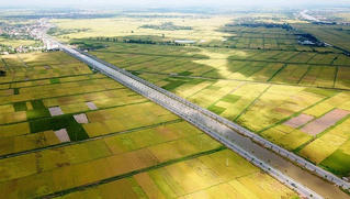 Hải Phòng khánh thành tuyến đường đôi 1300 tỷ đồng ở cửa ngõ phía Tây Nam thành phố 