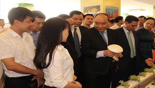 Hải Phòng thực sự “thay da đổi thịt” sau 10 năm thực hiện Nông thôn mới