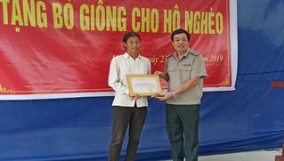 Cục thi hành án dân sự tỉnh Quảng Ninh tặng bò giống cho hộ nghèo