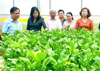 Gia Lâm (Hà Nội): Vươn lên mạnh mẽ từ nền tảng vững chắc 