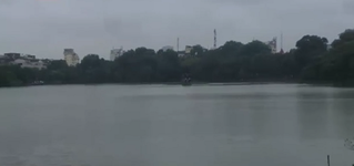 Cụ bà 92 tuổi lặng thầm “nuôi” cá hồ Gươm