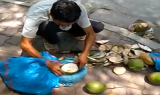 Nghi vấn dừa xiêm ‘tắm’ hóa chất giữa Hà Nội