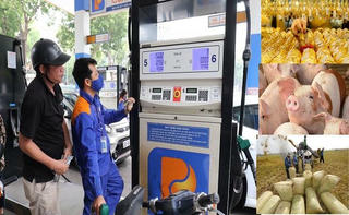 Giá các mặt hàng thiết yếu hôm nay - 11/10 