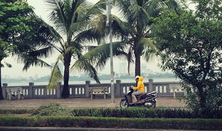 Sắc màu mùa đông trên phố phường Hà Nội