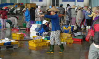 Nhọc nhằn nghề gánh cá thuê