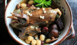 Đầu tuần làm chim bồ câu hấp hạt sen ngải cứu bổ dưỡng