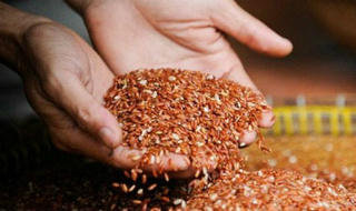 Những thực phẩm nên dùng trước khi chơi thể thao