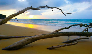 Tioman - biển xanh vẫy gọi tín đồ 'sống ảo'