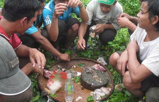 Bí hiểm chuyện người rừng không đuôi, ăn thịt sống và chỉ biết khóc