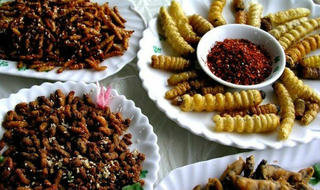 Về miền gái đẹp nổi tiếng Việt Nam thưởng thức món loi choi sả ớt