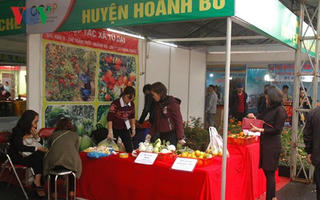 Khai mạc Hội chợ Quốc tế Việt Nam - Trung Quốc 2017