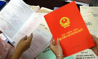 Vẽ rắn thêm chân