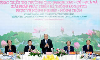 Giải nút thắt logistics cho nông sản