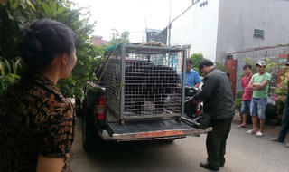 Hành trình từ gia đình về với thiên nhiên
