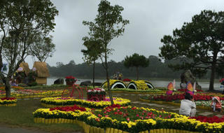 Festival Hoa Đà Lạt vắng cả khách và... hoa