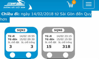 TP HCM: Người dân bước vào cuộc đua 'săn vé' Tết